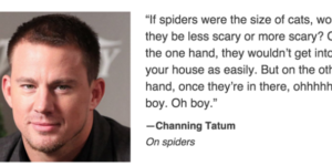 Channing+Tatum+on+spiders.