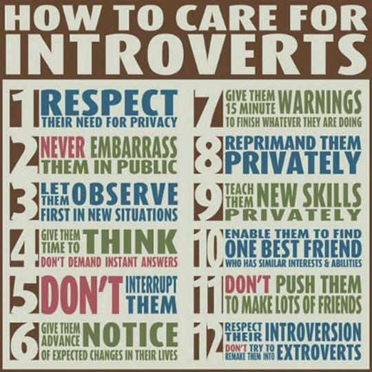 Learn How To Take Care For Introverts