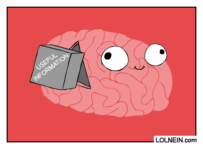 Useful Information vs My Brain