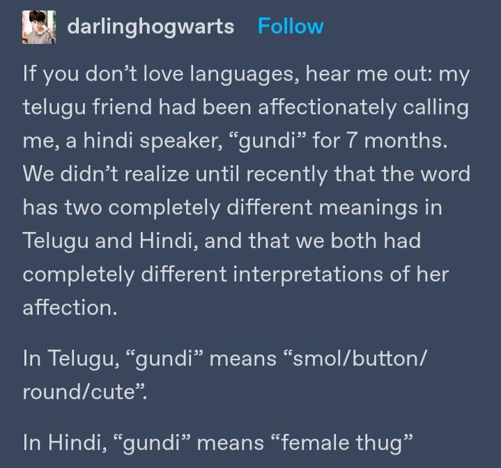 Gundi is relative.