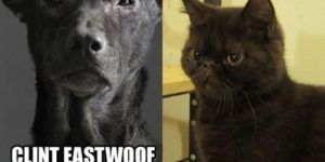 Clint Eastwoof and Samuel L. Catson.