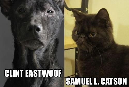 Clint Eastwoof and Samuel L. Catson.