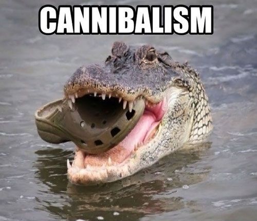 Cannibalism.
