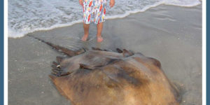 It’s crazy these creatures exist…