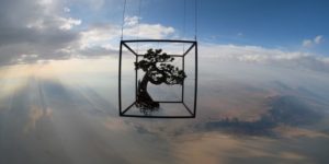 A Japanese Artist Launches Bonsai Into Space