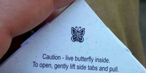 Caution – live butterfly inside.