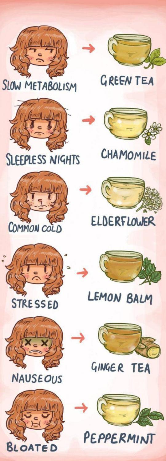 Know Your Tea