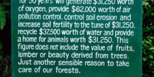 The Value of a Tree
