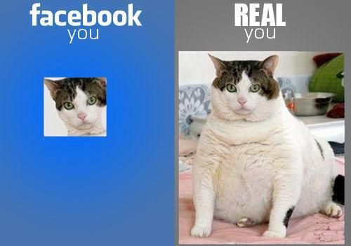 Facebook is deceiving.