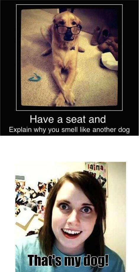 Explain why you smell like another dog...