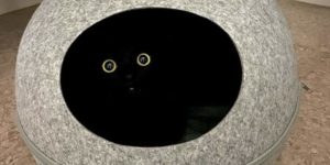 Vantablack has become self aware!