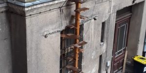 Cat ladders in Berlin, Germany