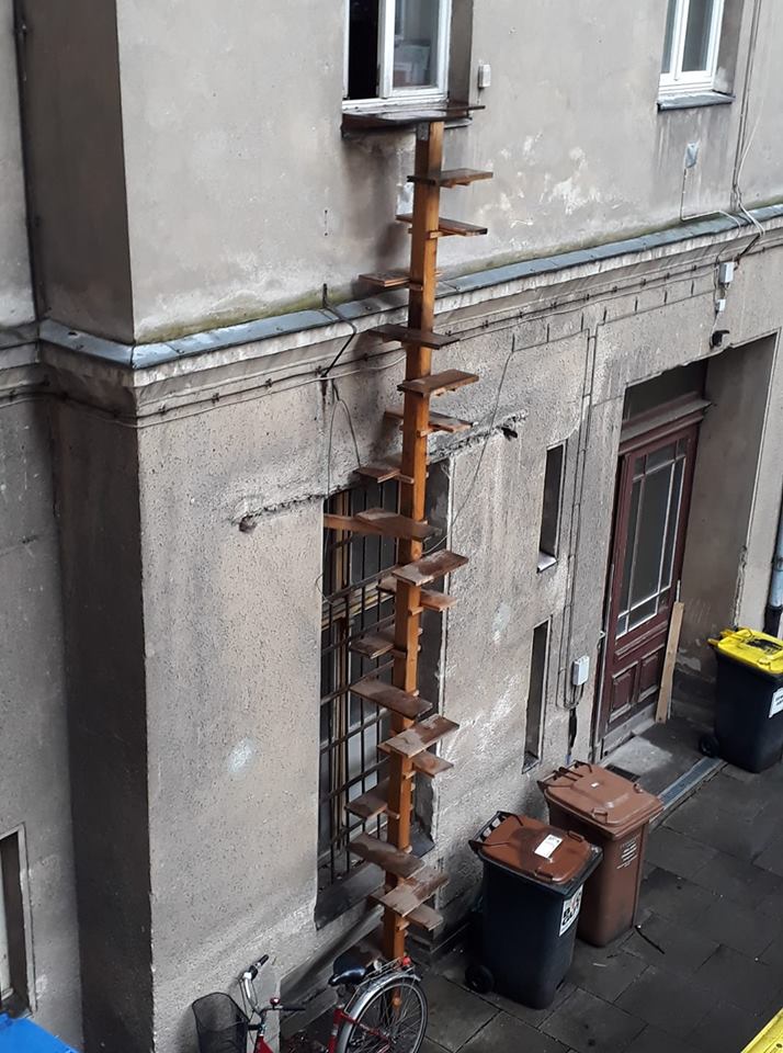 Cat ladders in Berlin, Germany