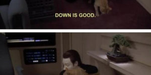 Robots and cats…