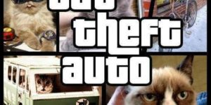 Cat Theft Auto