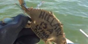 Someone has been painting messages on crabs near Tampa Bay.