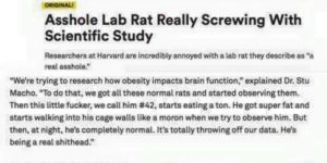 Asshole Rat screws with science