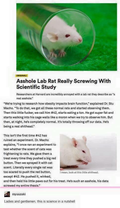 Asshole Rat screws with science