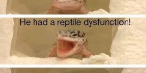 A Lizard Pun