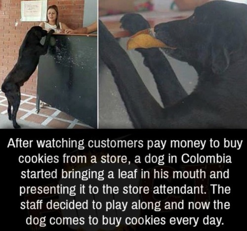 Money does grow on trees for good boys.