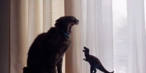 Kitty vs. Dinosaur.