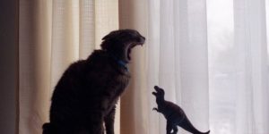 Kitty+vs.+Dinosaur.