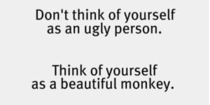 You are a beautiful monkey.