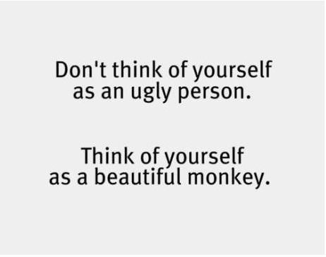 You are a beautiful monkey.