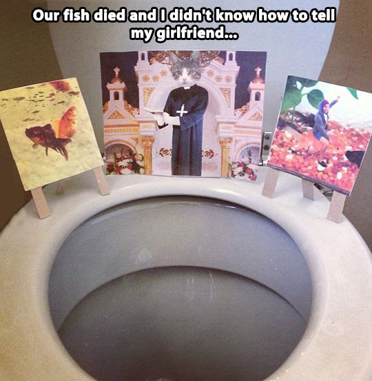 Our fish died...