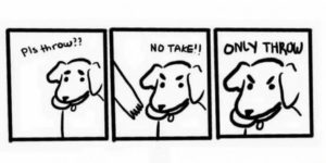 Dog Logic