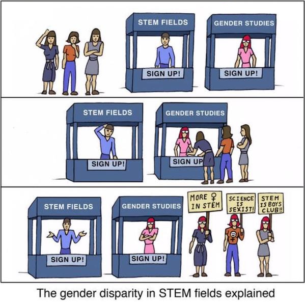 The gender disparity in STEM fields, explained