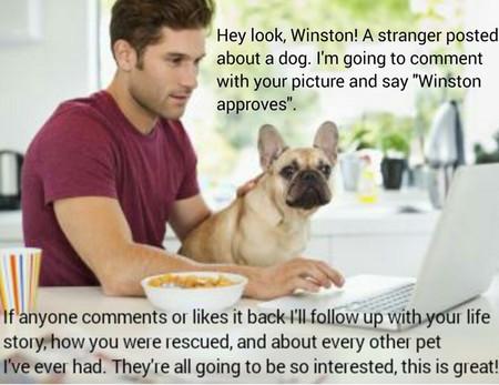 Hey Look! A Stranger Posted About A Dog