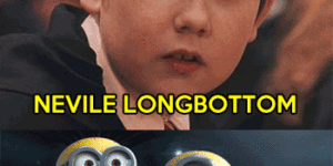 Nelville Longbottom.