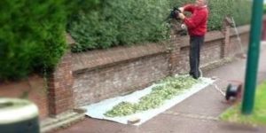 Neighbor rolls a phat J right on the sidewalk