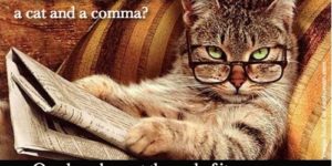 What’s the difference between a cat and a comma?