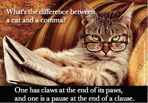 What's the difference between a cat and a comma?