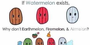 Watermelon?