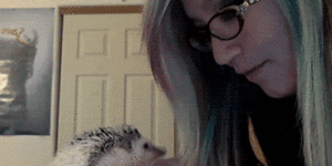 Hedgehog punches.