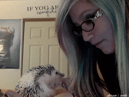 Hedgehog punches.