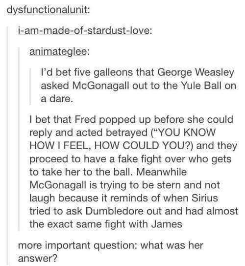 Will you go to the Yule dance with me?