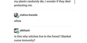 Witches don’t live in the desert for a reason.