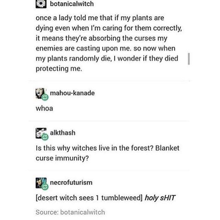 Witches don't live in the desert for a reason.