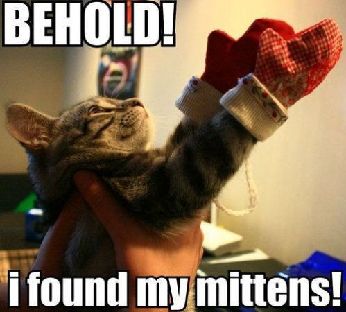 Mittens!