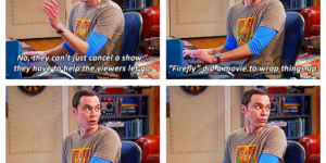 Sheldon explaining fandom life.