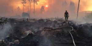 A forest fire in Ljusdal, Sweden. …and the flame hath burned all the trees of the field.