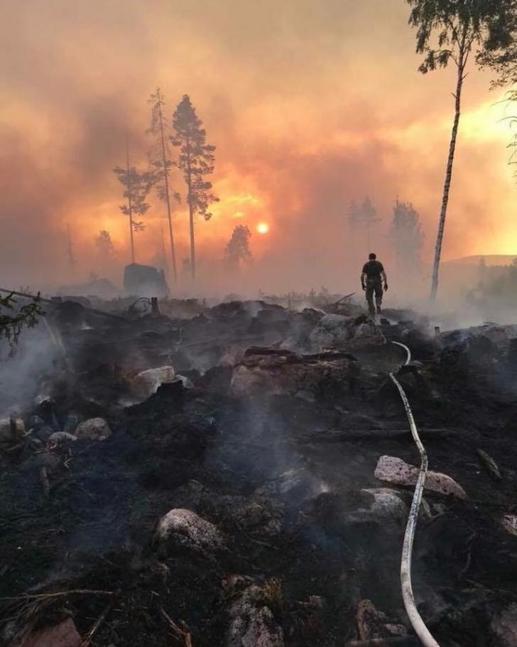 A forest fire in Ljusdal, Sweden. ...and the flame hath burned all the trees of the field.