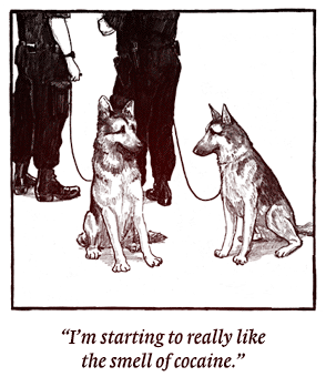 The only problem with police dogs.