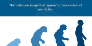 If humans evolved from monkeys…