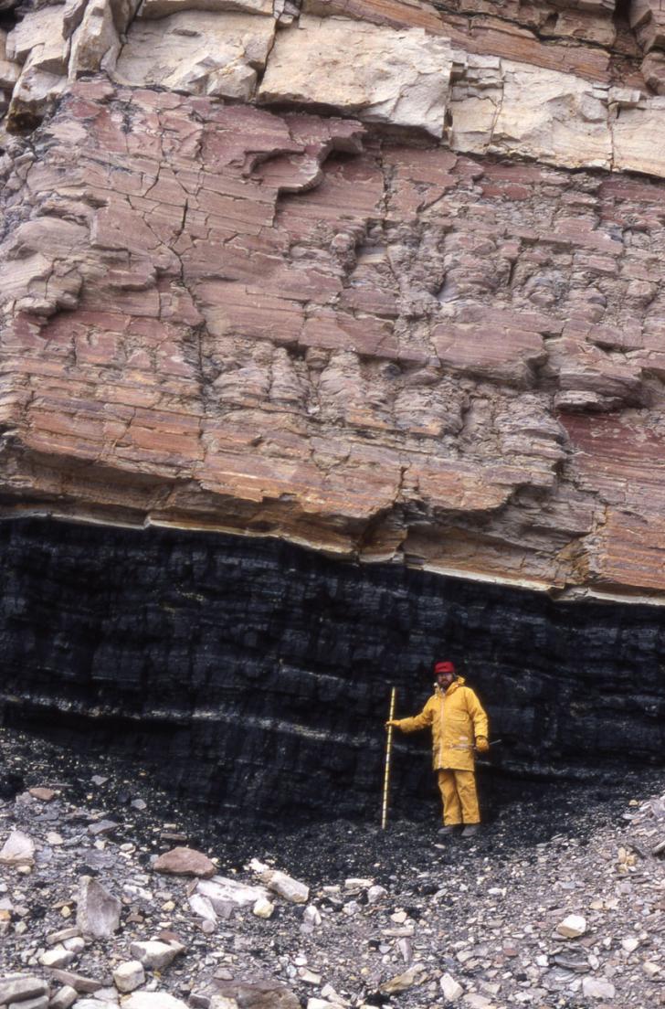 Coal seam in the Antarctic