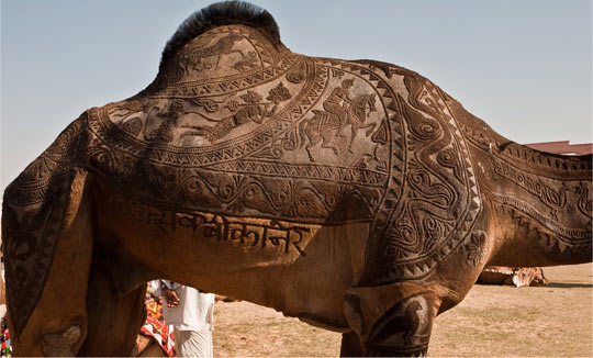 Camel art.